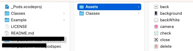 place them in the _assets_ folder. you do not need to create a new folder for assets